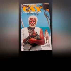 The Cay by Theodore Taylor Vintage Paperback - Blue Cover